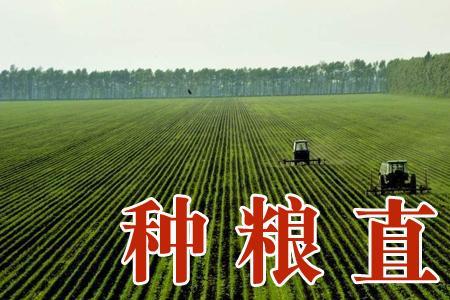 耕地补贴和粮食补贴一样吗