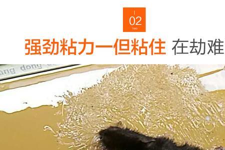 粘鼠板保质期