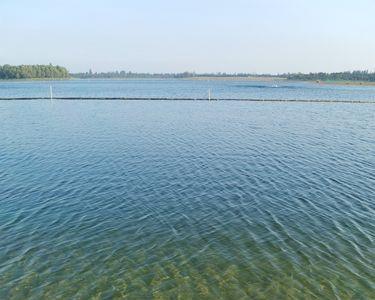 水库水质变浑浊的原因