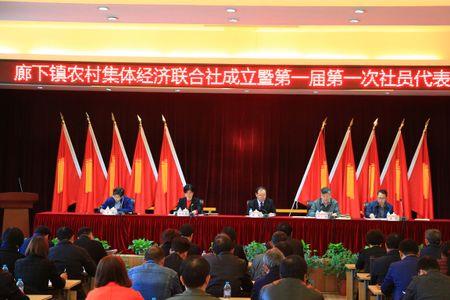 农村经济联合社是什么机构类型