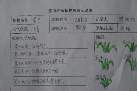 三年级观察记录单是什么意思