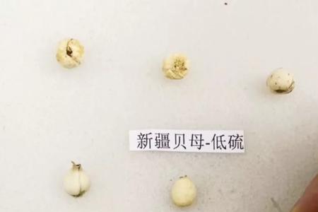 川贝和平贝的区别