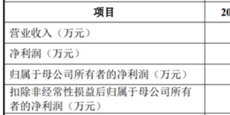 利扬科技是哪国的