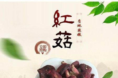 红菇为什么又叫月子菇