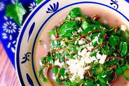 蒸马齿苋菜的做法大全