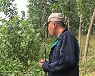 鱼叉系统原理