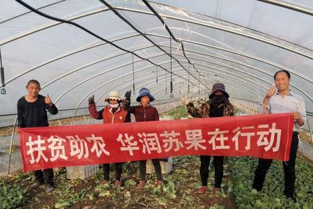 发展农副产品的意义和用途