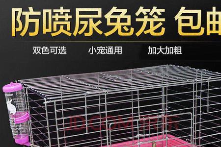 兔子在笼子里脚不疼吗