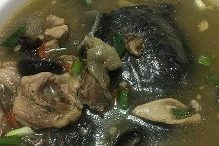 甲鱼冬天冷了怎么办