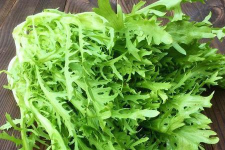 油麦菜是苦苣的叶子吗