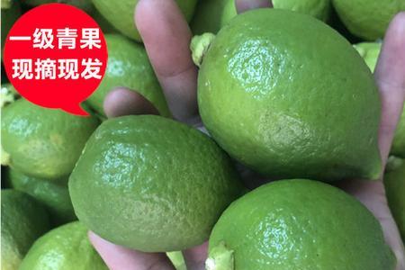 广东香水柠檬前途如何