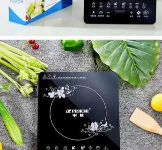 新飞电陶炉是杂牌吗