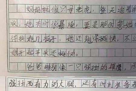 母亲像一个太极高手是比喻句吗
