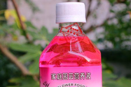 水培兰花加什么营养液