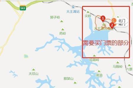 大王滩有鲢鳙吗
