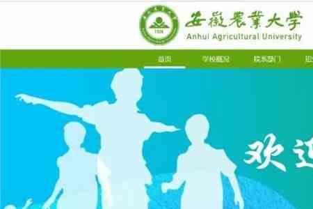 安徽农业大学快递地址怎么写