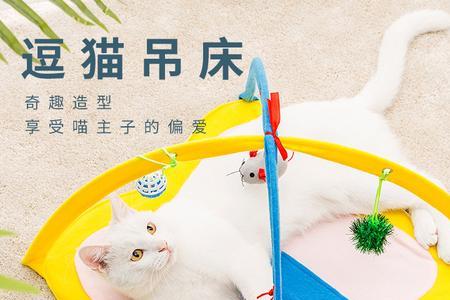 为什么猫喜欢玩荡秋千