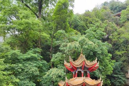 水城森林公园门票