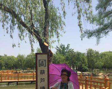 苍梧绿园雕像石头的寓意是什么
