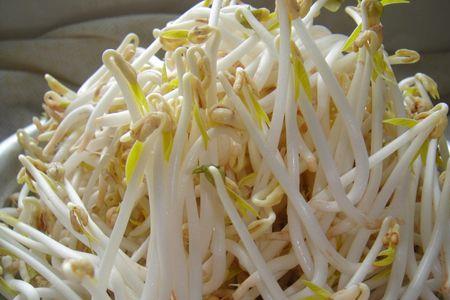 孵化器能种豆芽吗