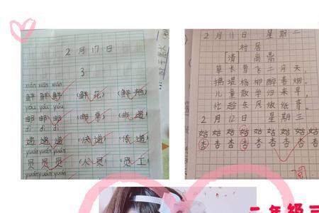 写字的学名