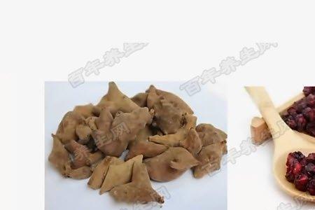 五倍子怎么烘焙