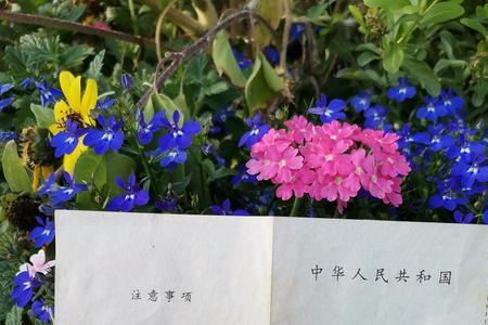深圳通行证是什么意思
