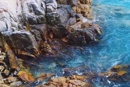 厦门丙洲岛赶海最佳地点