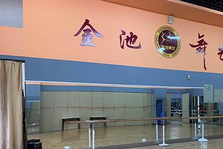沈阳哪里少儿舞蹈教的好