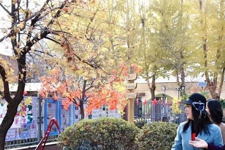 沈阳艺术幼儿师范学校藏族多吗