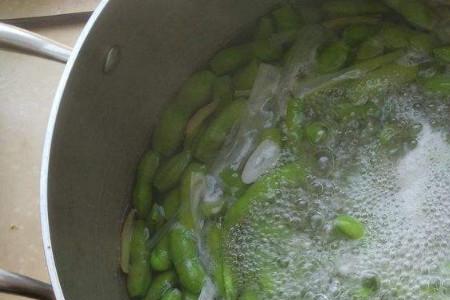 煮有机质多久能沸腾