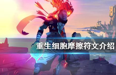 重生细胞零细胞什么意思