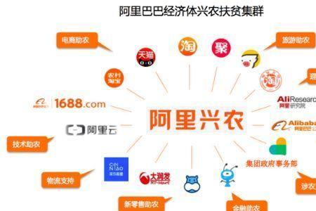 阿里巴巴的公司体制是什么
