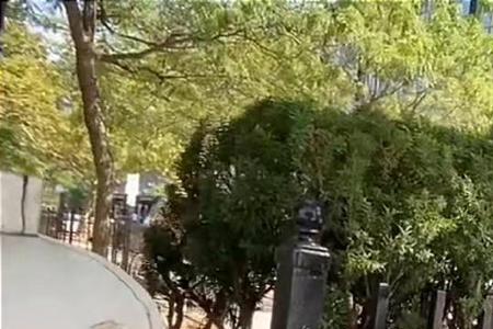 求学经历是什么意思