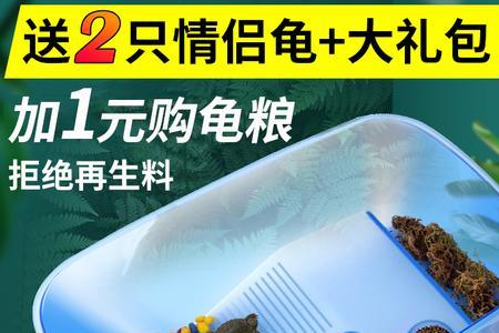 塑料乌龟缸裂缝了怎么办