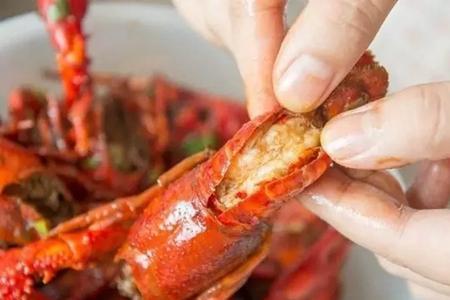 海蝲蛄虾怎么吃