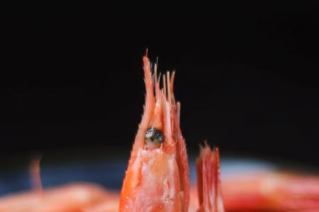 北极甜虾和青虾的区别