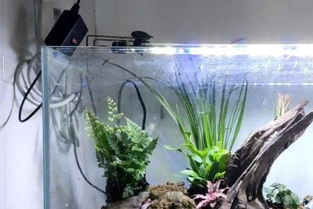 水族出水口埋水里还是离开水面