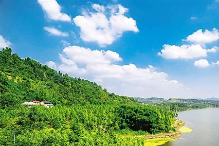 合川真有油田吗