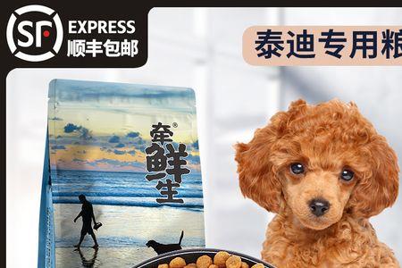 4个月大泰迪可以吃成犬粮吗