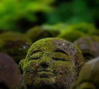 佛说有缘自会相见