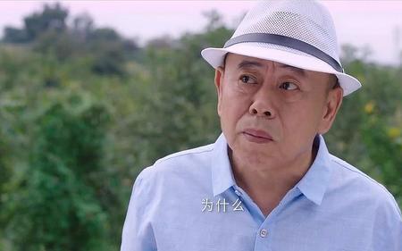 农村卖货电视剧