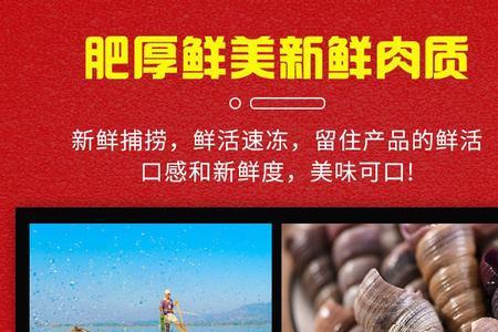 新鲜锥螺怎么保存