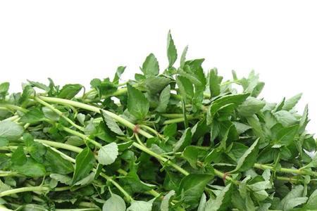 云南香香菜做法