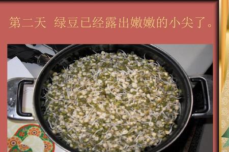 吐司盒发绿豆芽教程