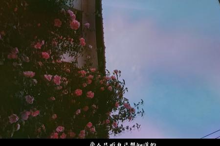 云和花的文案