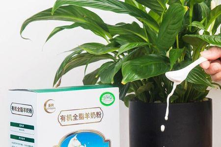 中宏全脂羊乳粉和羊奶粉的区别