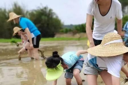 小孩捉鱼的诗