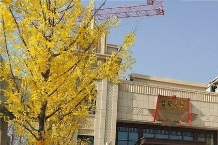 运城紫云轩是哪个开发商
