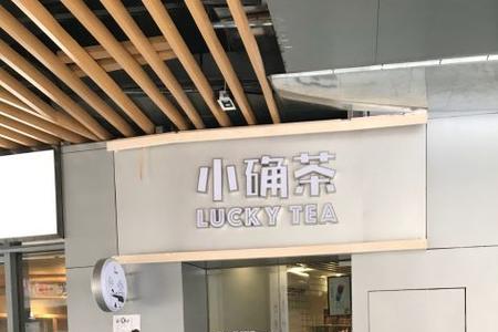 小确茶什么必点